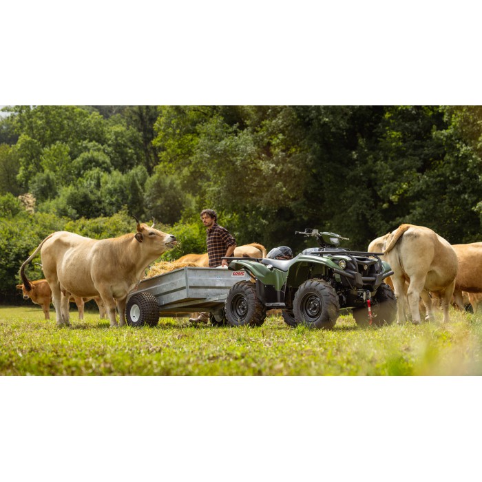 Kodiak 700 EPS