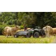 Kodiak 700 EPS