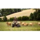 Kodiak 700 EPS