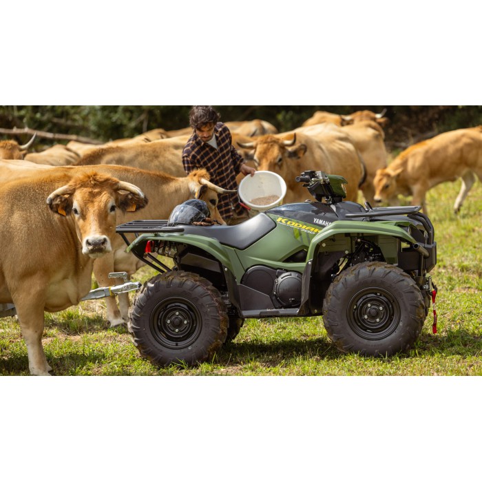 Kodiak 700 EPS