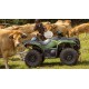 Kodiak 700 EPS