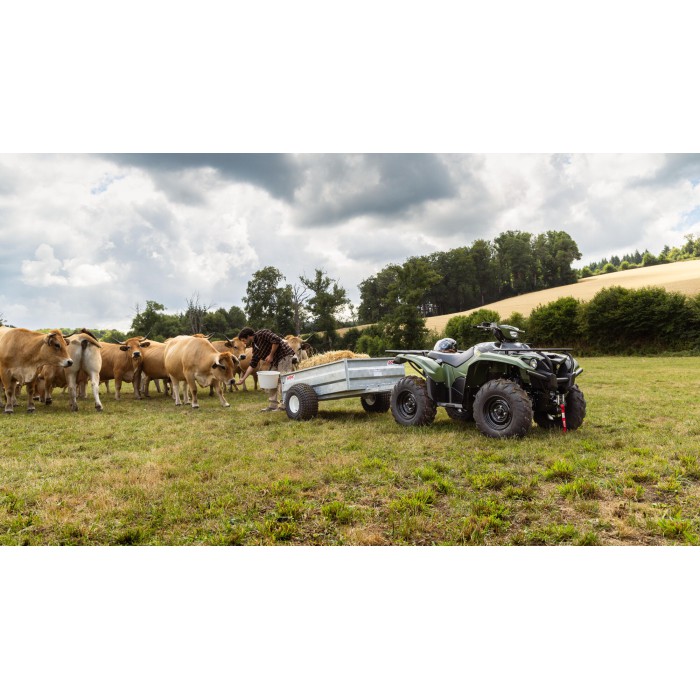 Kodiak 700 EPS