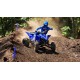 YFZ450R