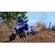 YFZ450R