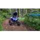 YFZ450R