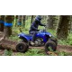 YFZ450R
