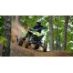 YFZ450R SE