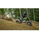 YFZ450R SE