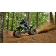 YFZ450R SE