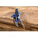 YZ250