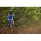 YZ250