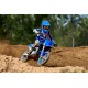 YZ65
