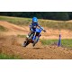 YZ65