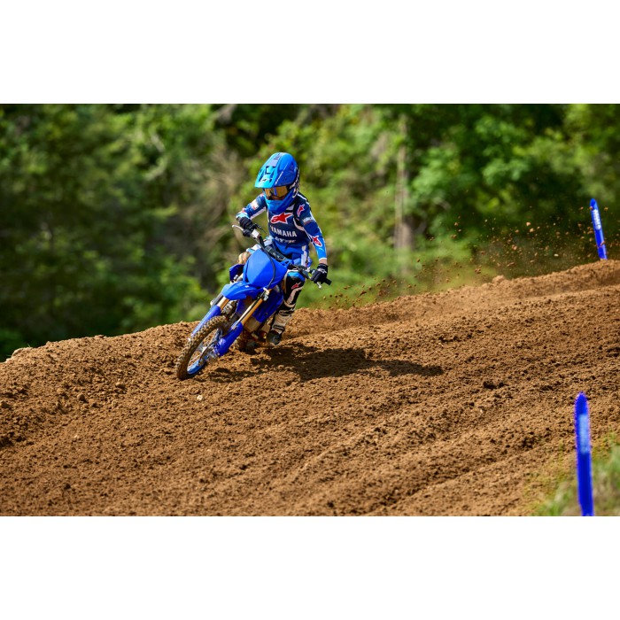 YZ65