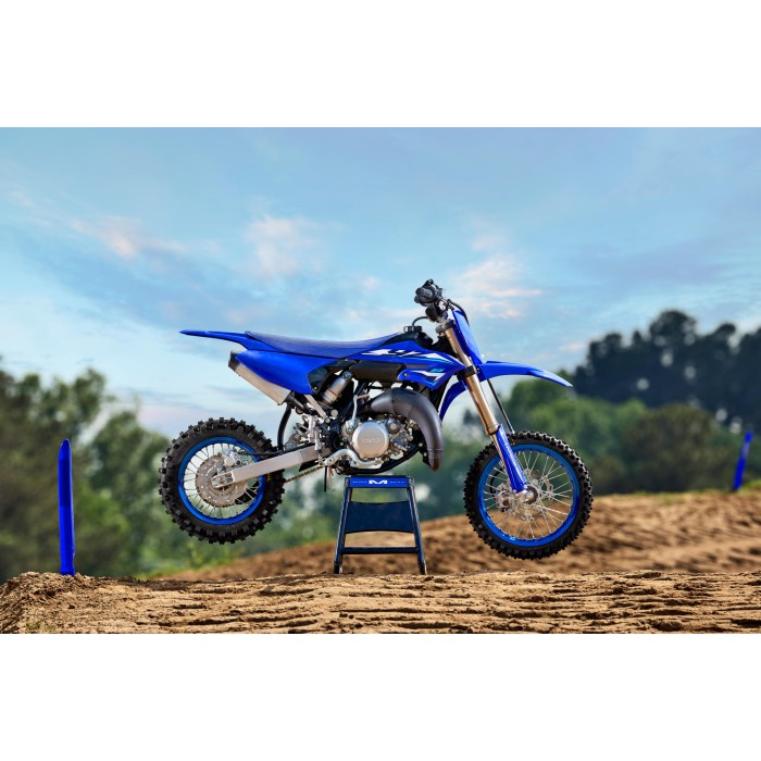 YZ65