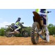 YZ250 Monster Energy Yamaha Racing Edition