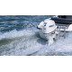 50hp