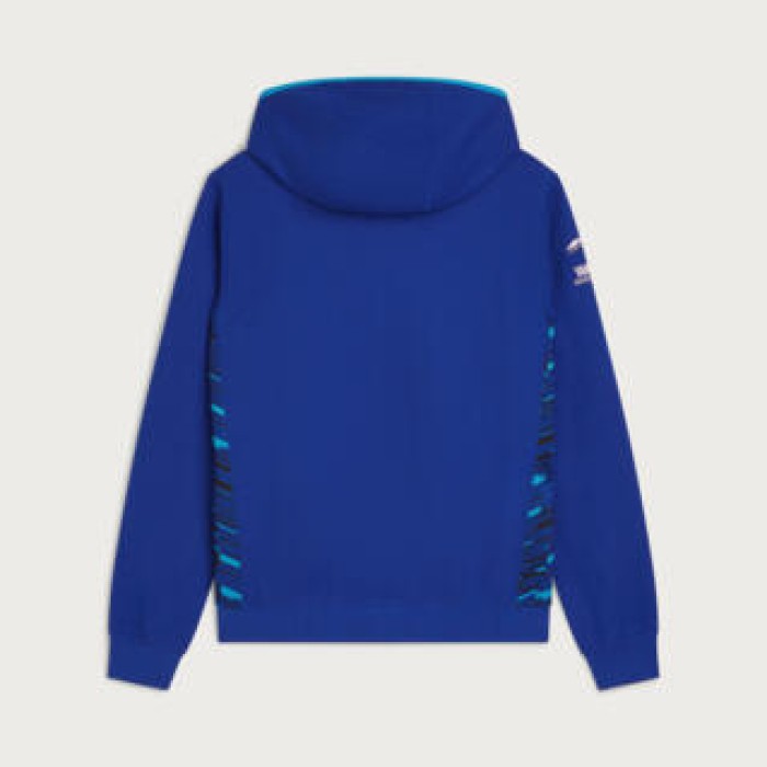Чоловіче худі Paddock Blue Team