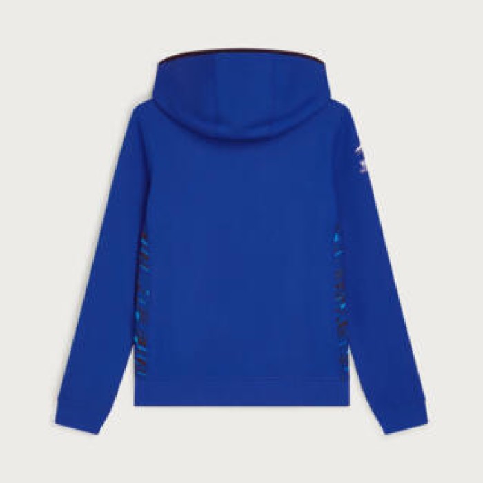 Жіноче худі Paddock Blue Team
