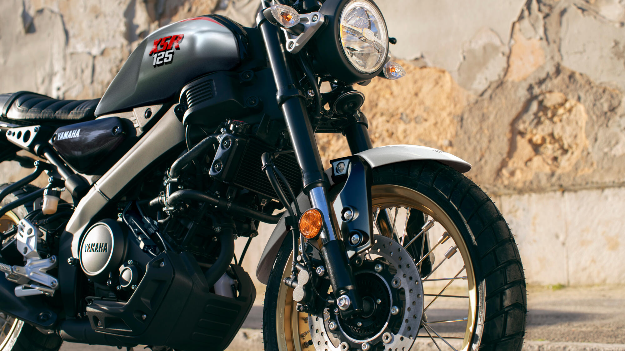 37mm upside-down front forks