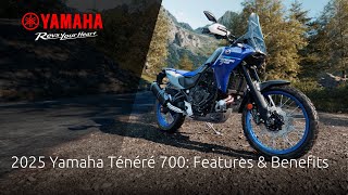 Yamaha video 1AfQzGDi528
