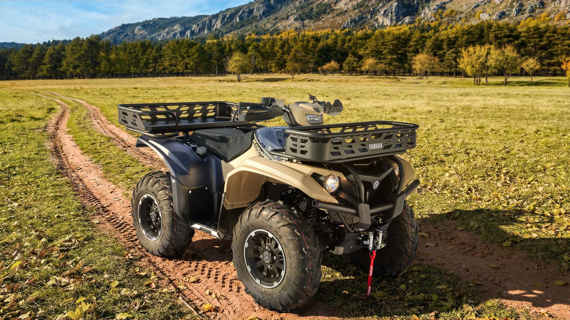 Yamaha feature 1