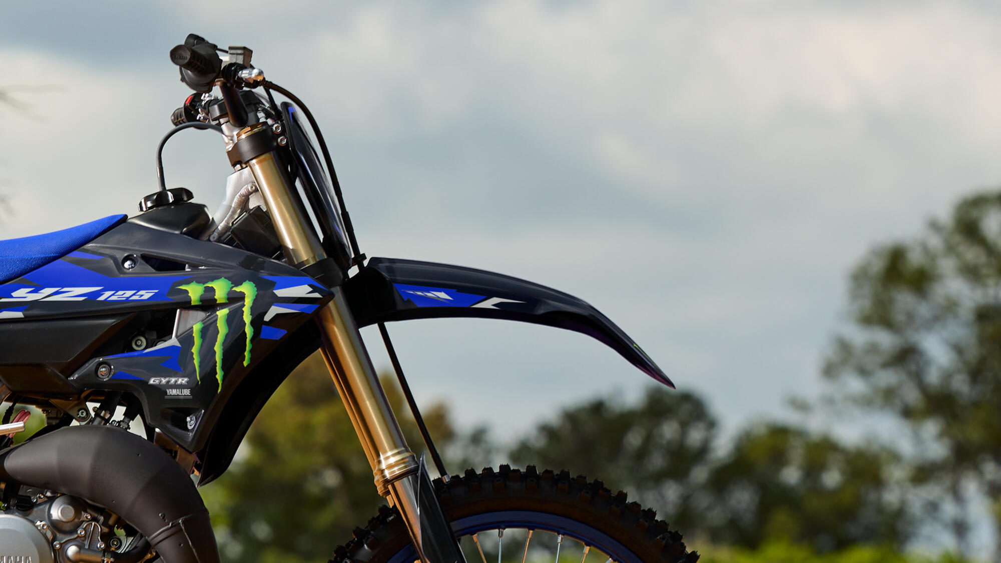 Ліврея Monster Energy Edition